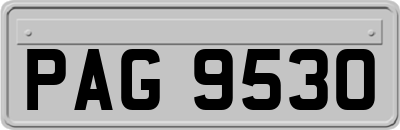 PAG9530
