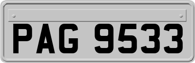PAG9533