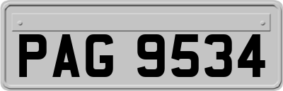 PAG9534