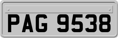 PAG9538