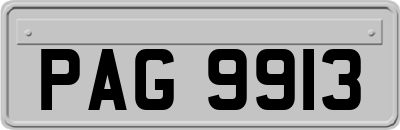 PAG9913