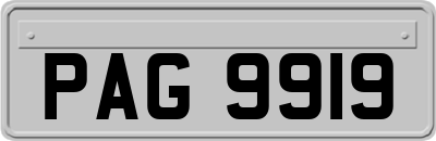 PAG9919