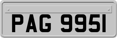 PAG9951