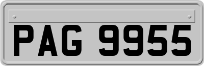 PAG9955
