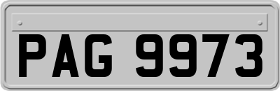 PAG9973