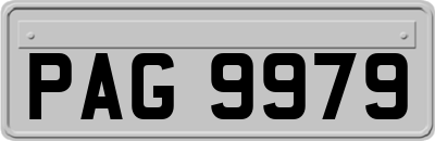 PAG9979