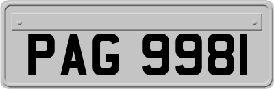 PAG9981