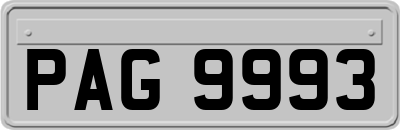 PAG9993