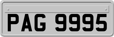PAG9995