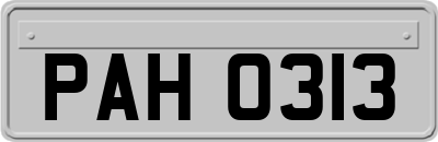 PAH0313