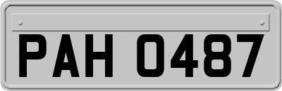 PAH0487