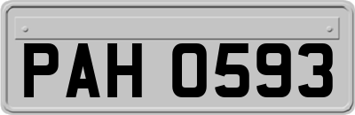 PAH0593