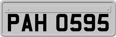 PAH0595