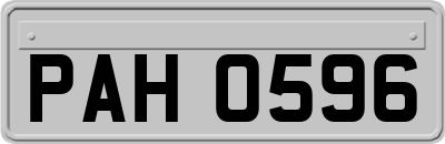 PAH0596