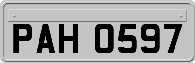 PAH0597