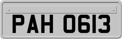 PAH0613