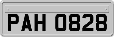 PAH0828