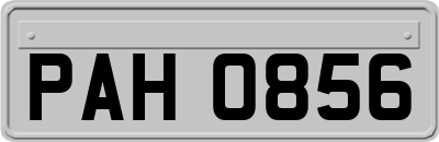 PAH0856