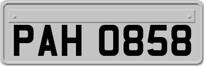 PAH0858