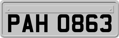 PAH0863