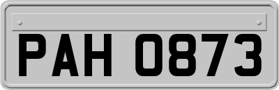 PAH0873