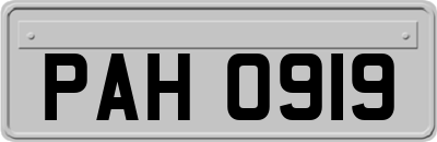 PAH0919
