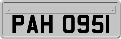 PAH0951