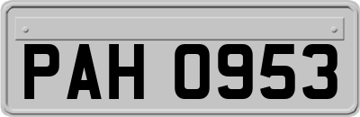 PAH0953