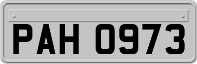 PAH0973