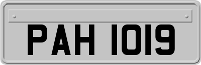 PAH1019