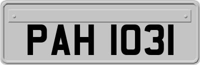 PAH1031