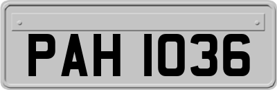 PAH1036