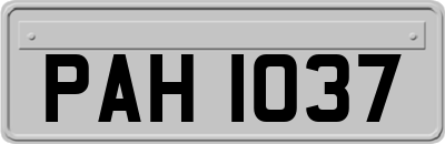 PAH1037