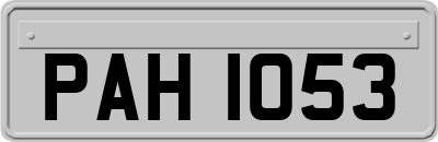 PAH1053