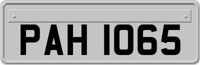 PAH1065