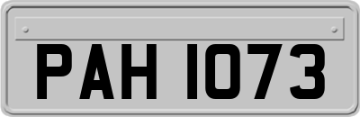 PAH1073