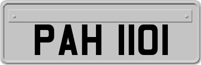 PAH1101
