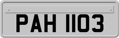 PAH1103
