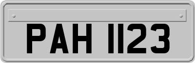 PAH1123