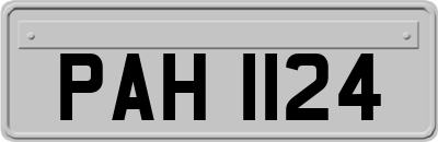 PAH1124