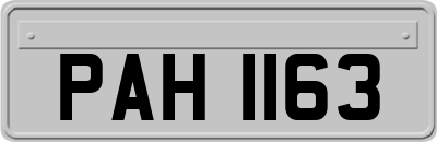PAH1163