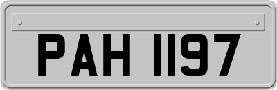 PAH1197