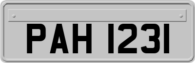 PAH1231