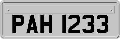 PAH1233