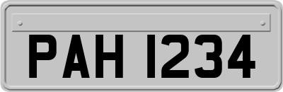PAH1234