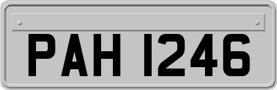 PAH1246
