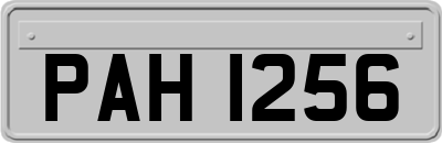 PAH1256