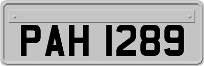 PAH1289