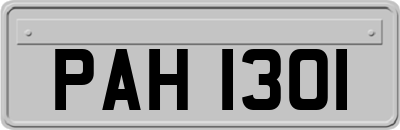 PAH1301