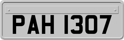 PAH1307